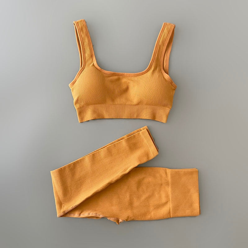 Seamless Ribbed Sports Bra and Leggings Workout Set